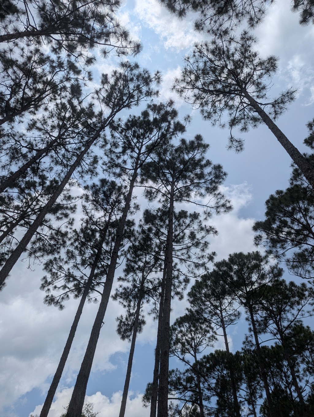 Choky Bi Nay Nay, pt.&nbsp;2